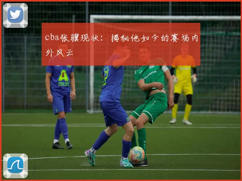 cba张骥现状:揭秘他如今的赛场内外风云