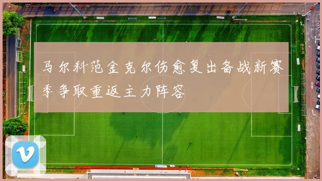 马尔科范金克尔伤愈复出备战新赛季争取重返主力阵容