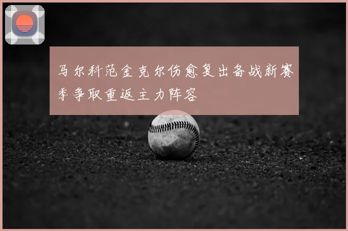 马尔科范金克尔伤愈复出备战新赛季争取重返主力阵容